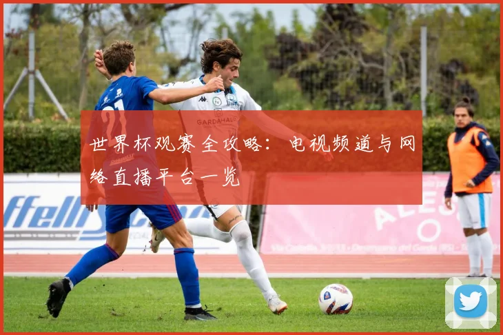 世界杯观赛全攻略：电视频道与网络直播平台一览