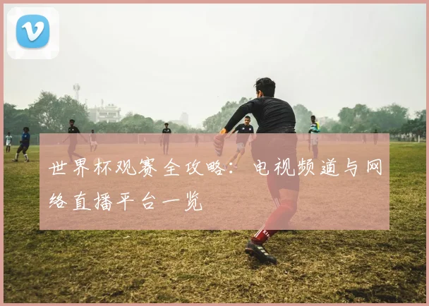 世界杯观赛全攻略：电视频道与网络直播平台一览
