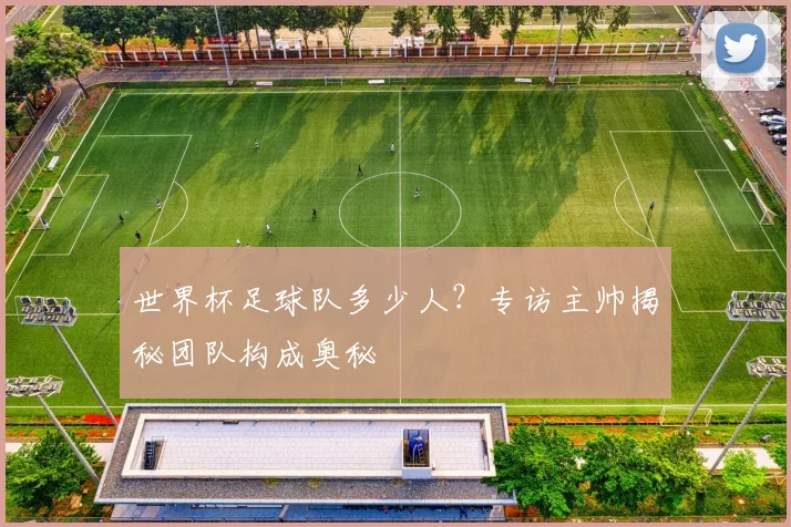 世界杯足球队多少人?专访主帅揭秘团队构成奥秘