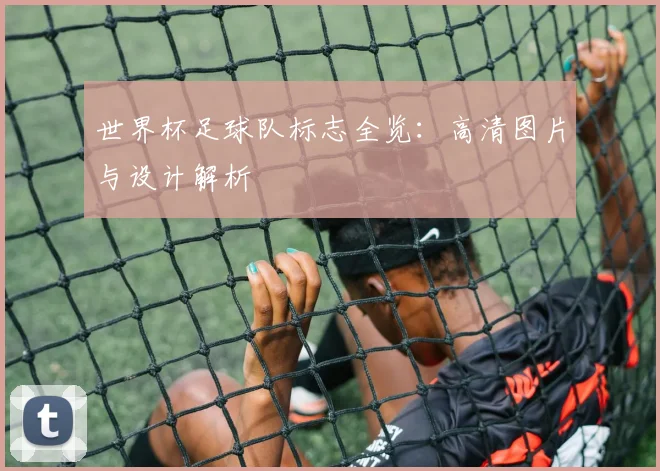 世界杯足球队标志全览：高清图片与设计解析