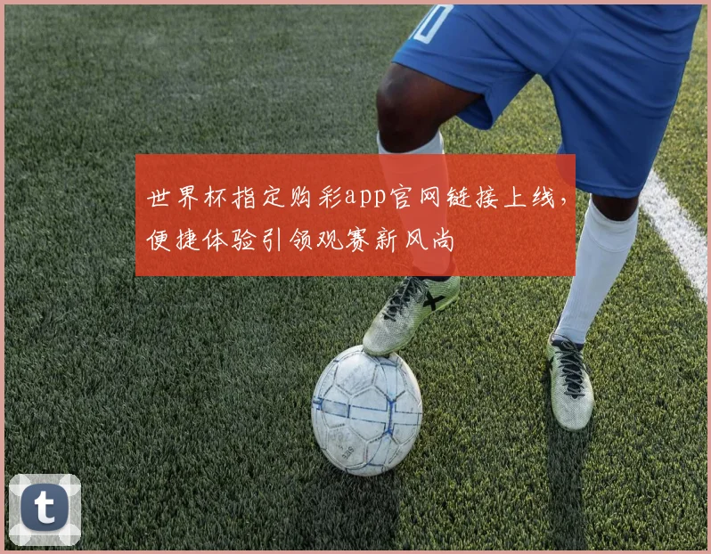 世界杯指定购彩app官网链接上线，便捷体验引领观赛新风尚