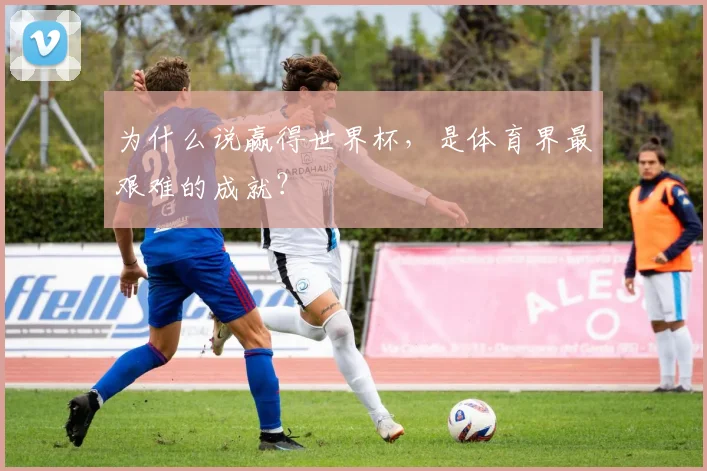 为什么说赢得世界杯，是体育界最艰难的成就？