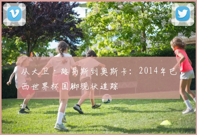 从大卫·路易斯到奥斯卡:2014年巴西世界杯国脚现状追踪