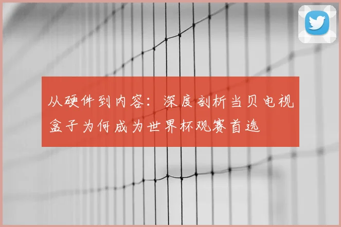 从硬件到内容：深度剖析当贝电视盒子为何成为世界杯观赛首选