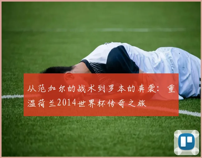 从范加尔的战术到罗本的奔袭:重温荷兰2014世界杯传奇之旅