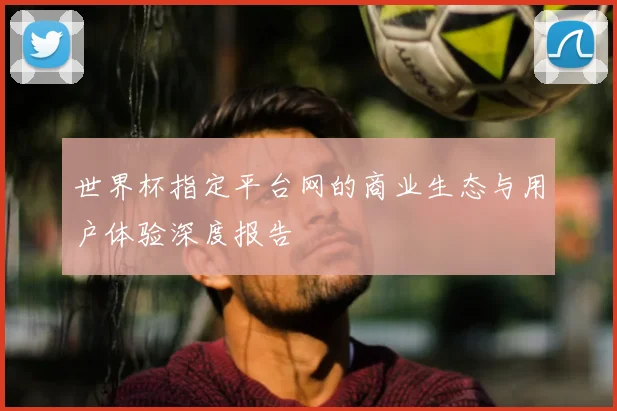 世界杯指定平台网的商业生态与用户体验深度报告