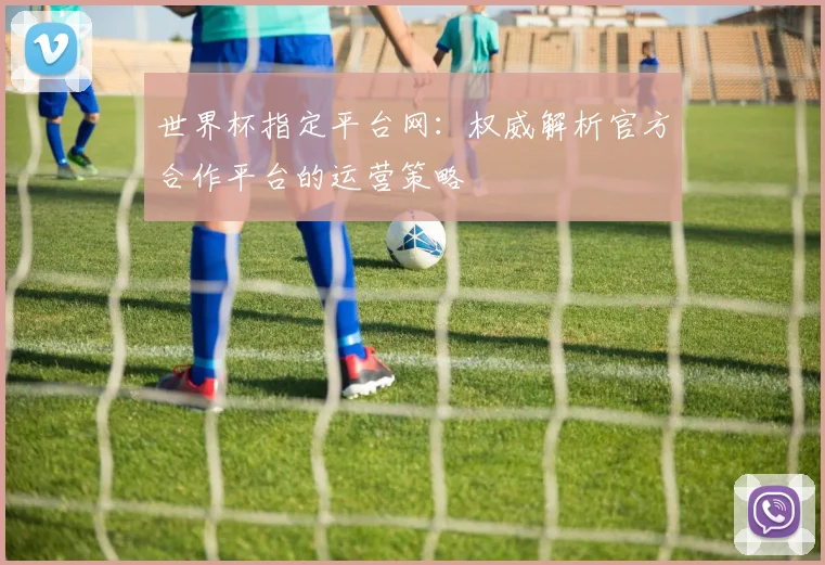 世界杯指定平台网：权威解析官方合作平台的运营策略