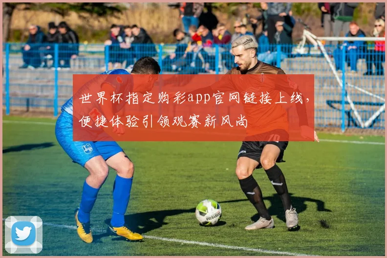 世界杯指定购彩app官网链接上线，便捷体验引领观赛新风尚