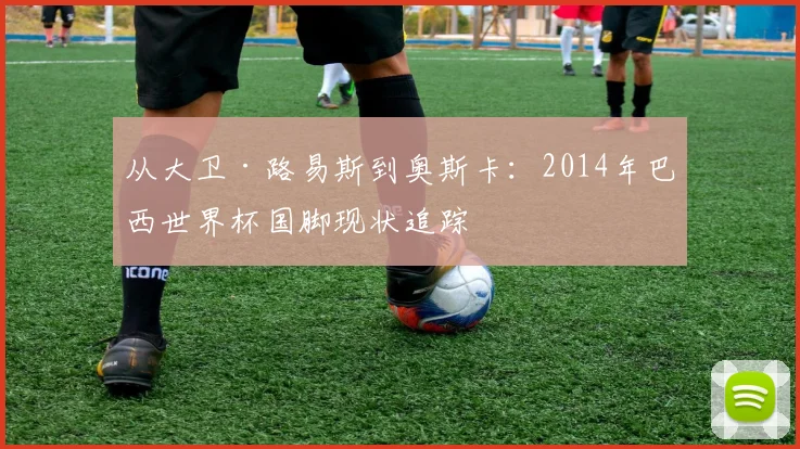 从大卫·路易斯到奥斯卡:2014年巴西世界杯国脚现状追踪