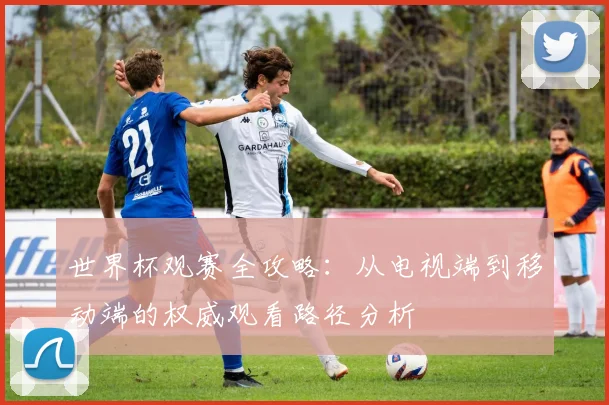 世界杯观赛全攻略：从电视端到移动端的权威观看路径分析