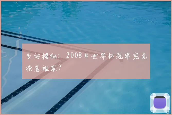 专访揭秘：2008年世界杯冠军究竟花落谁家？
